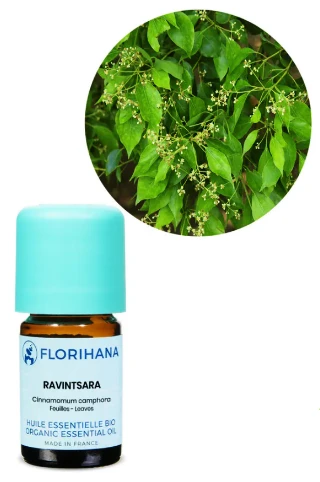 Florihana organsko etarsko ulje Ravensara 5 g Florihana